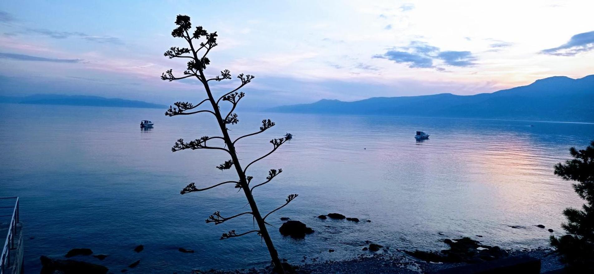 Apartment With View In Rijeka Exterior foto